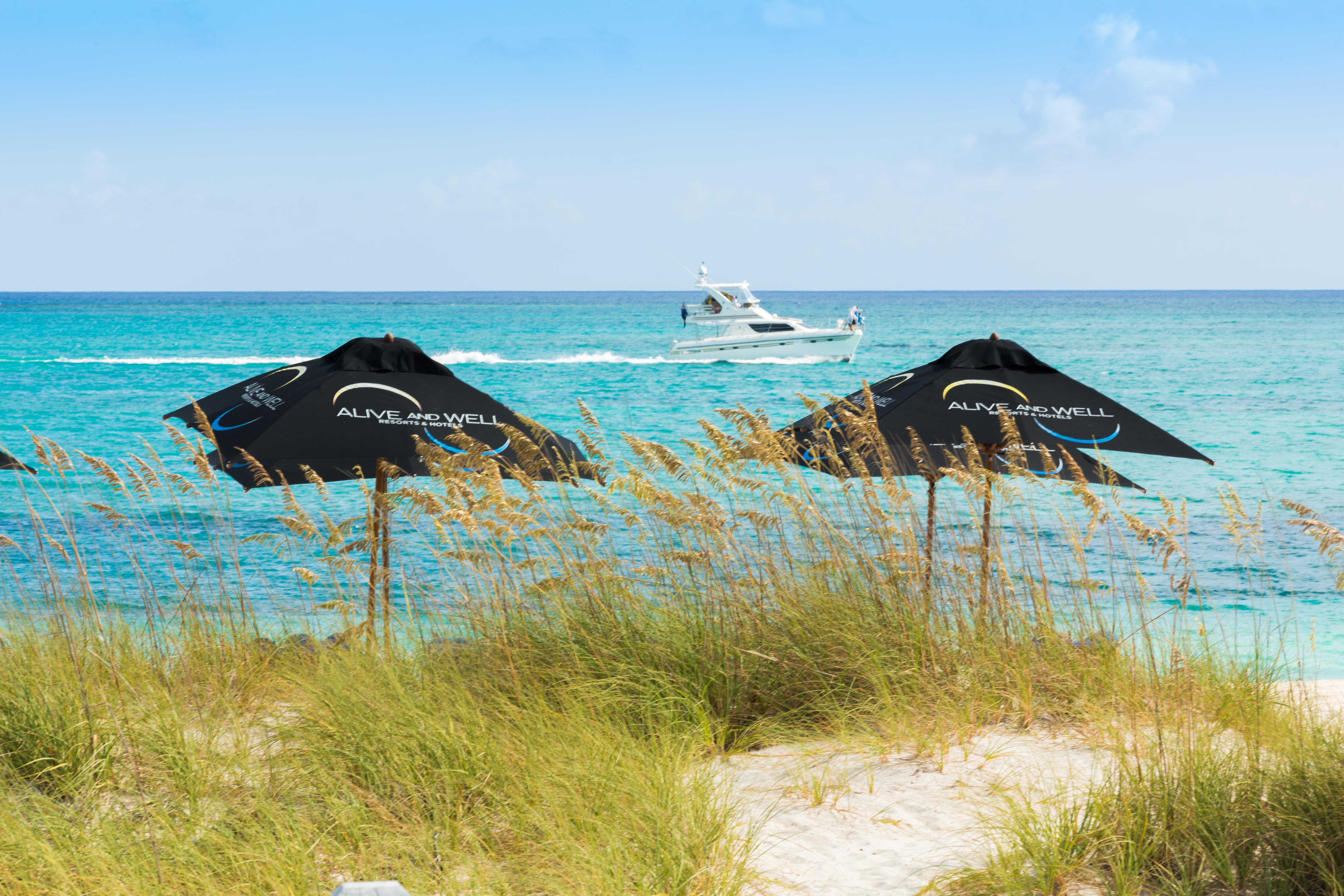 One On Marlin Resort (Adults Only) Turtle Cove Eksteriør billede